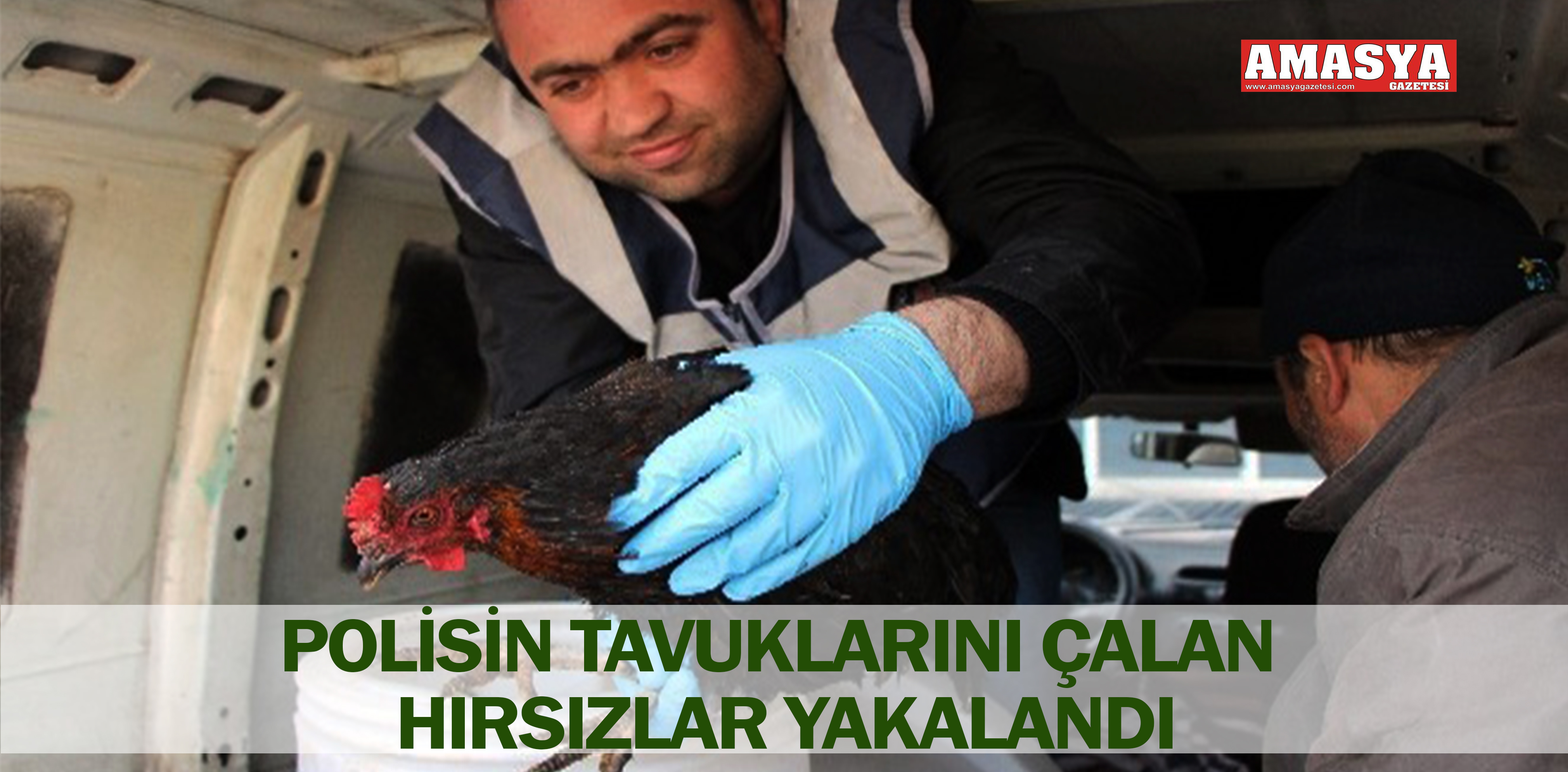 POLİSİN TAVUKLARINI ÇALAN HIRSIZLAR YAKALANDI
