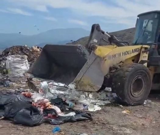Amasya’da Sahte Gıda Operasyonu 24 İşletmeye Ceza