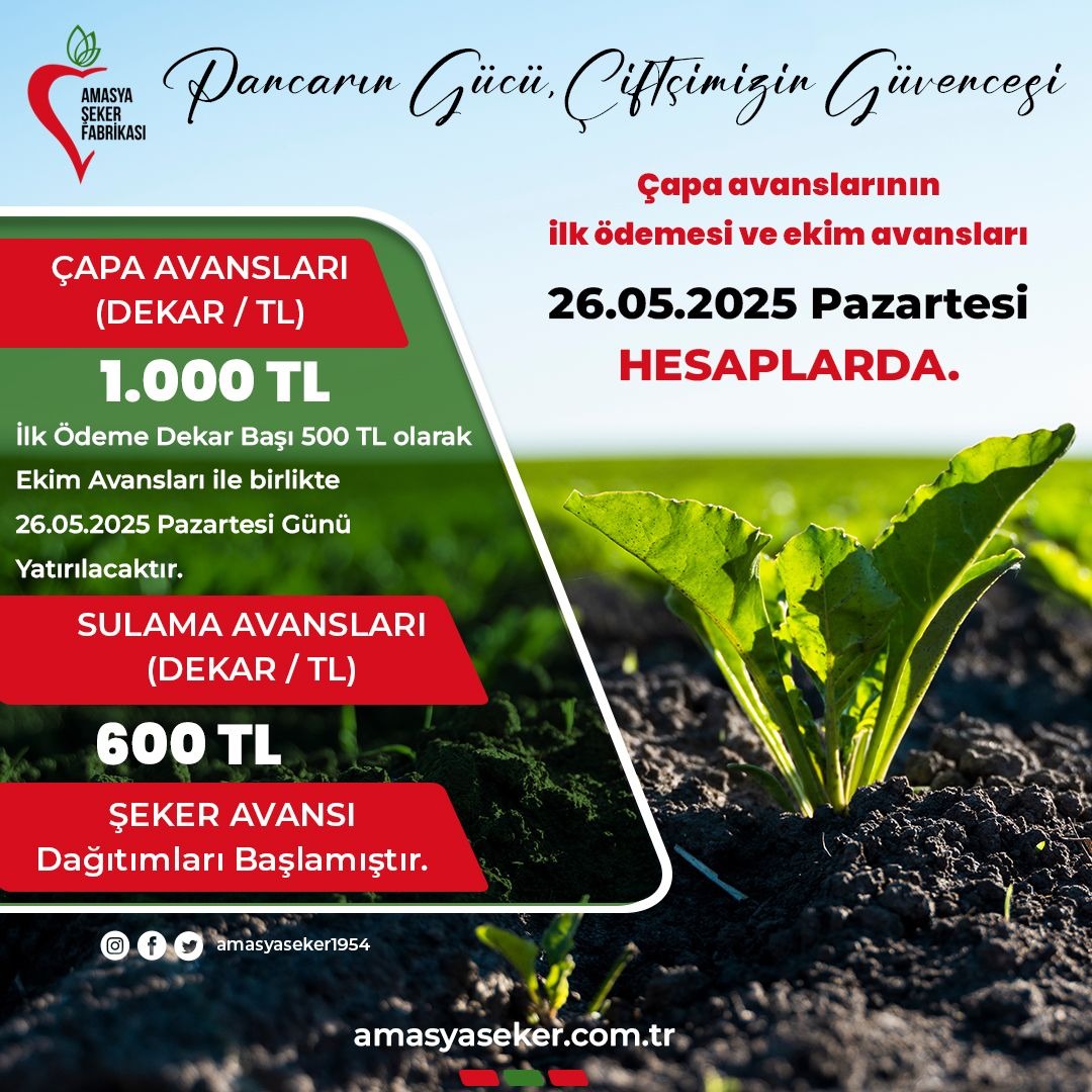 Amasya’da Pancar Çiftçilerine Müjde: Dekar Başına Bin TL Avans Ödemesi